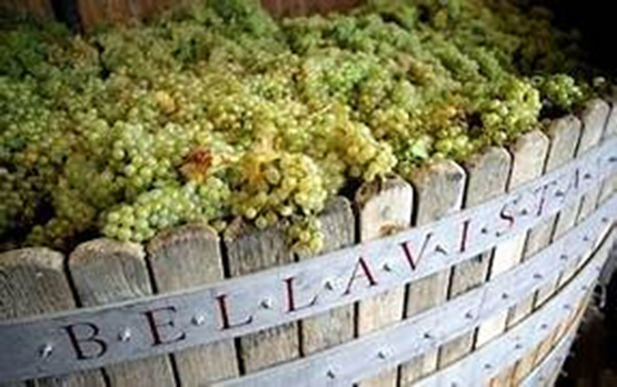 BellaVista Winery | Franciacorta | Wines from Italy – Wines