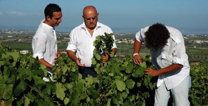 Fina Winery in Trapani Sicily - Wines From Italy