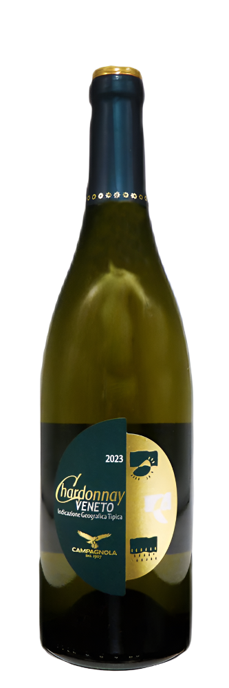 Chardonnay Veneto, 2023 by Campagnola Winery