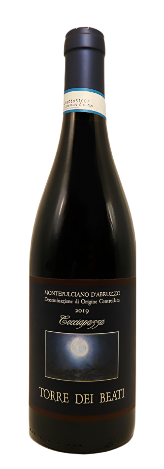 Montepulciano d' Abruzzo, 2019 Cocciapazza by Torre dei Beati