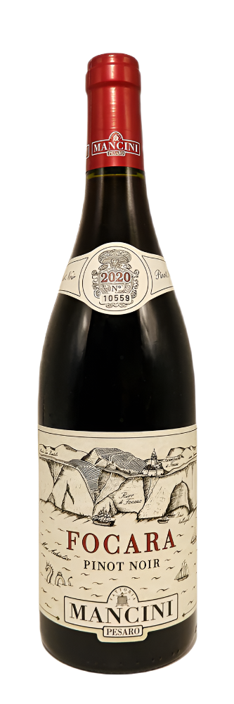 Pinot Noir Focara 2021 DOC, By Mancini in Le Marche – Wines From Italy
