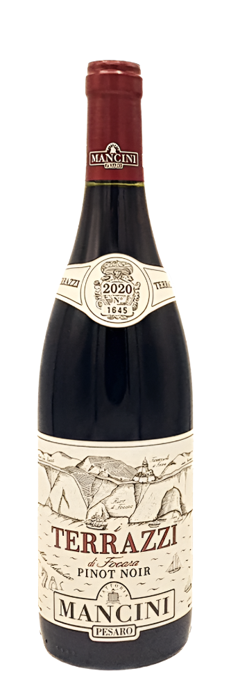 Pinot Noir Terrazzi 2020 DOC, By Mancini in Le Marche