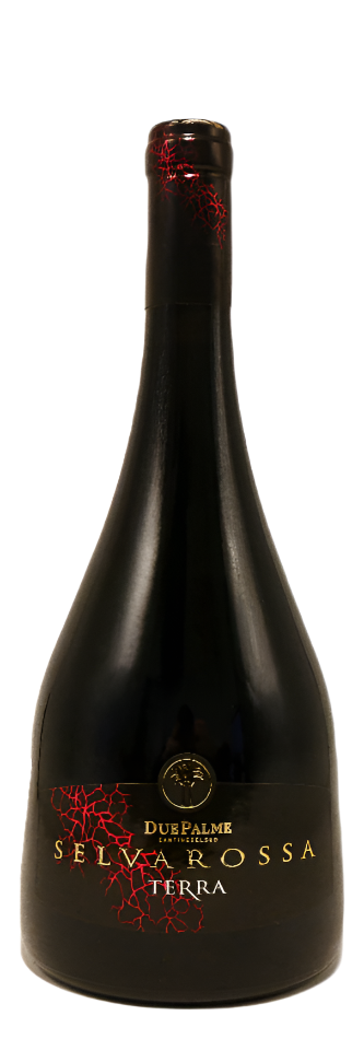 Salice Salentino  Riserva  2012, Terra , by Due Palme, Puglia