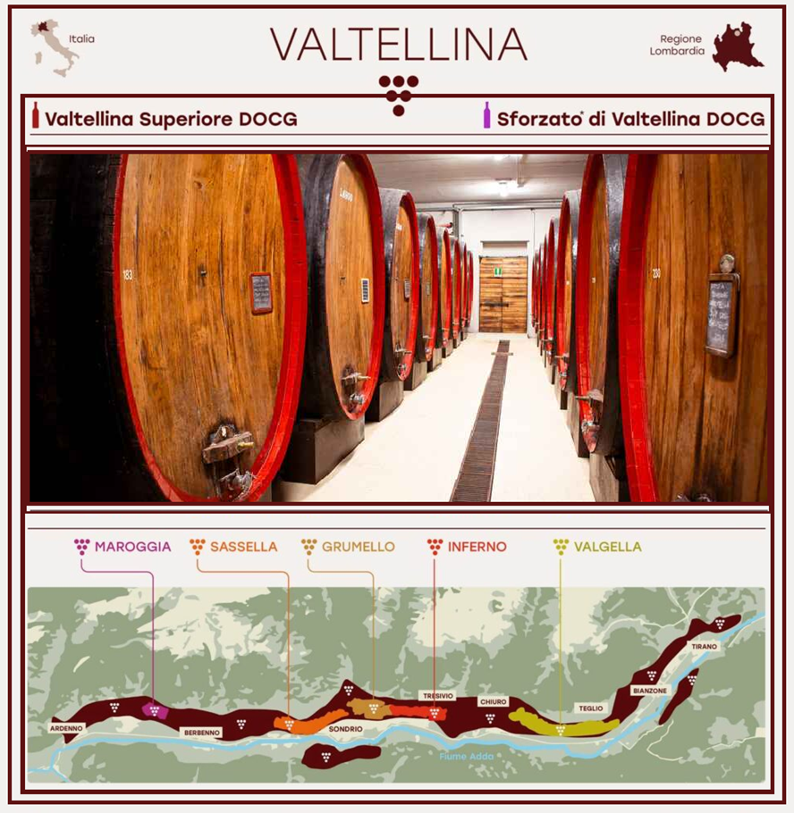 Valtellina wineery and veins