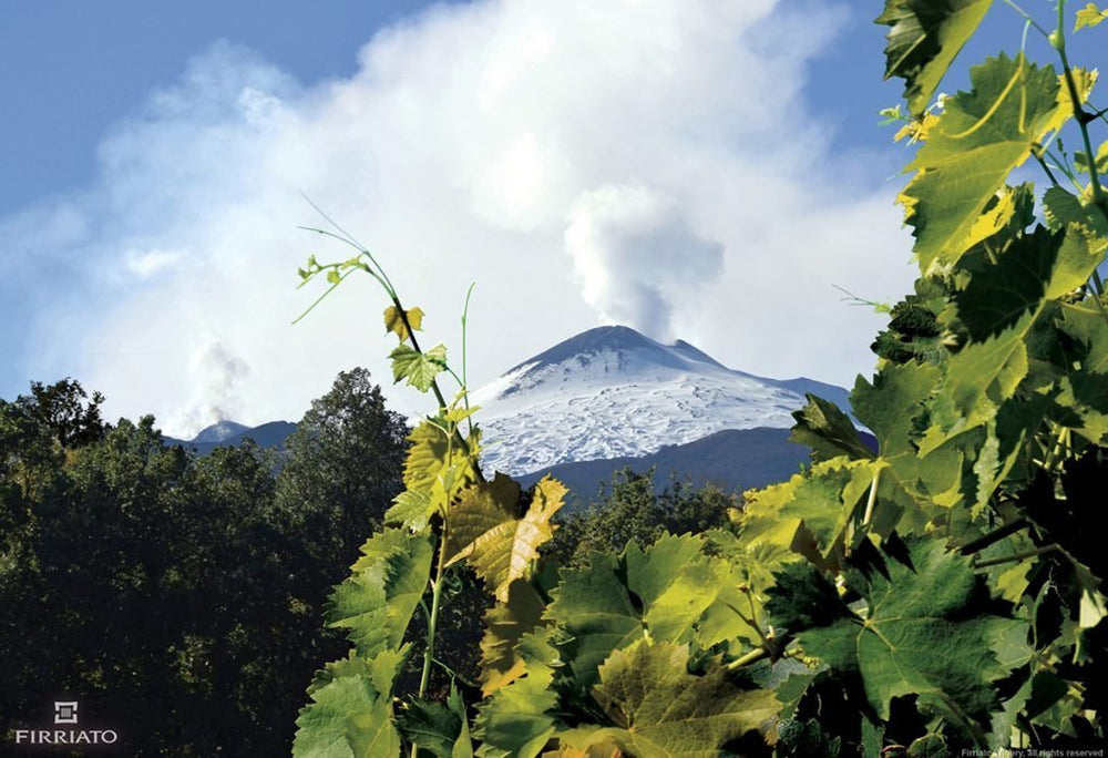 Mt Etna Wines