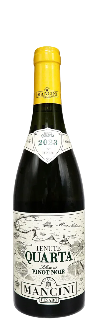 Blanc de Pinot Noir, Quarta, 2023, By Mancini in Le Marche