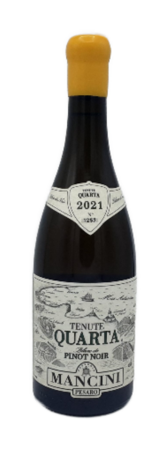 
            
                Load image into Gallery viewer, Blanc de Pinot Noir, Quarta, 2021, By Mancini in Le Marche - Wines From Italy
            
        