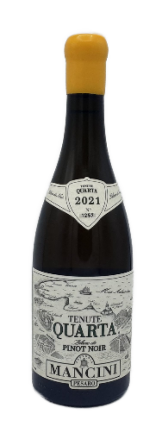 Blanc de Pinot Noir Quarta 2021 By Mancini in Le Marche