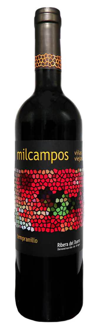 Grechetto Montefalco DOC, 2024, by Scacciadiavoli Umbria, Italy