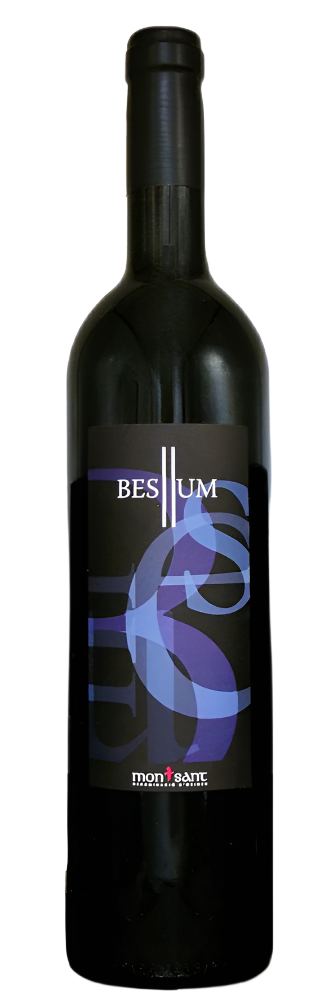 Celler Malondro 'Besllum', Montsant, Spain 2011