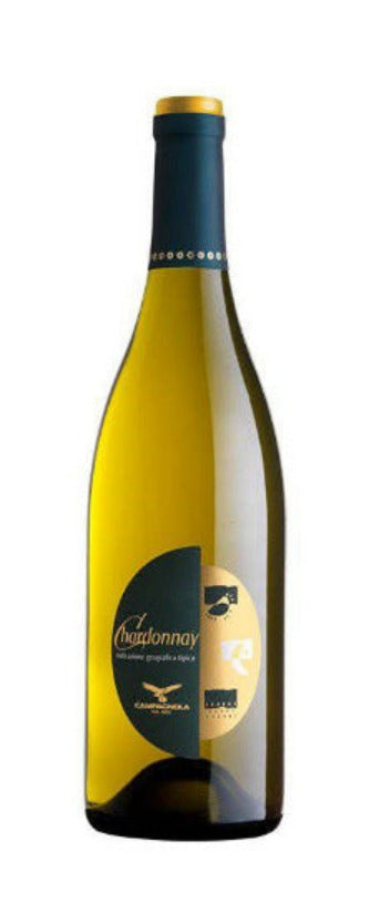 Chardonnay,2021, Chardonnay Veneto By the  Campagnola Winery - Wines From Italy