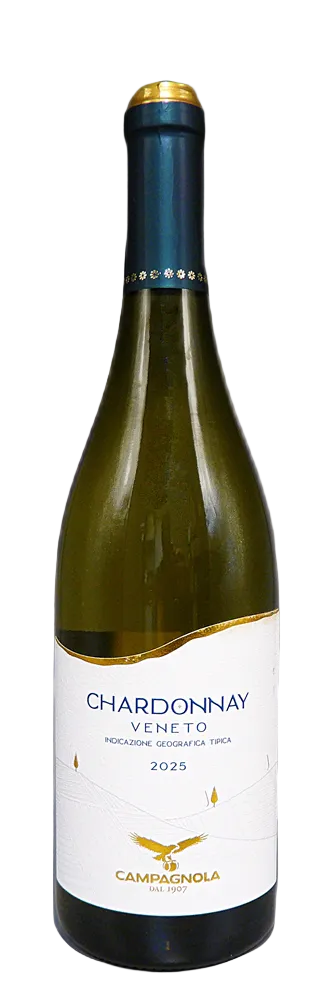 Chardonnay Veneto, 2025 by Campagnola Winery