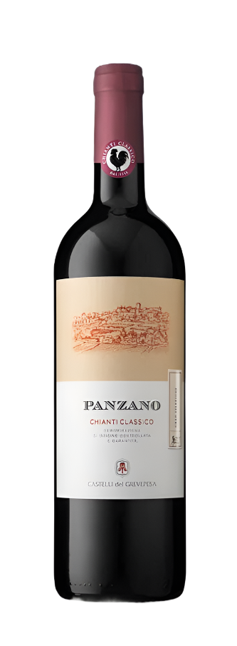Chianti Classico Gran Selezione, Panzano, 2019 by Castelli del Grevepesa