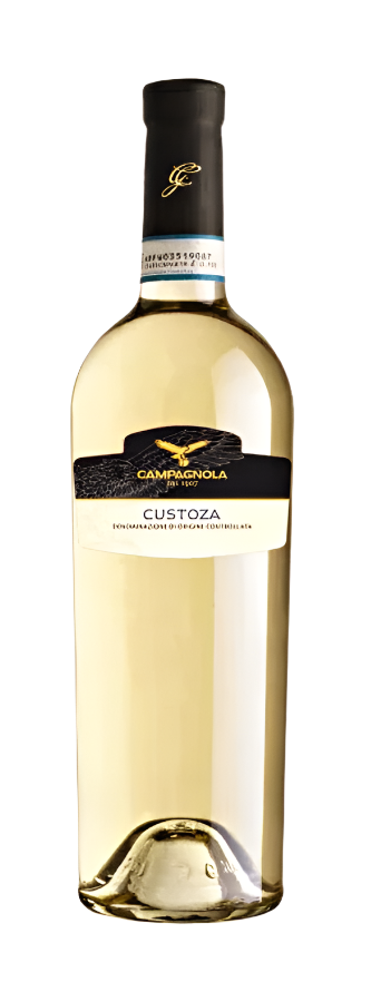 Custoza Bianco, 2024 by Campagnola