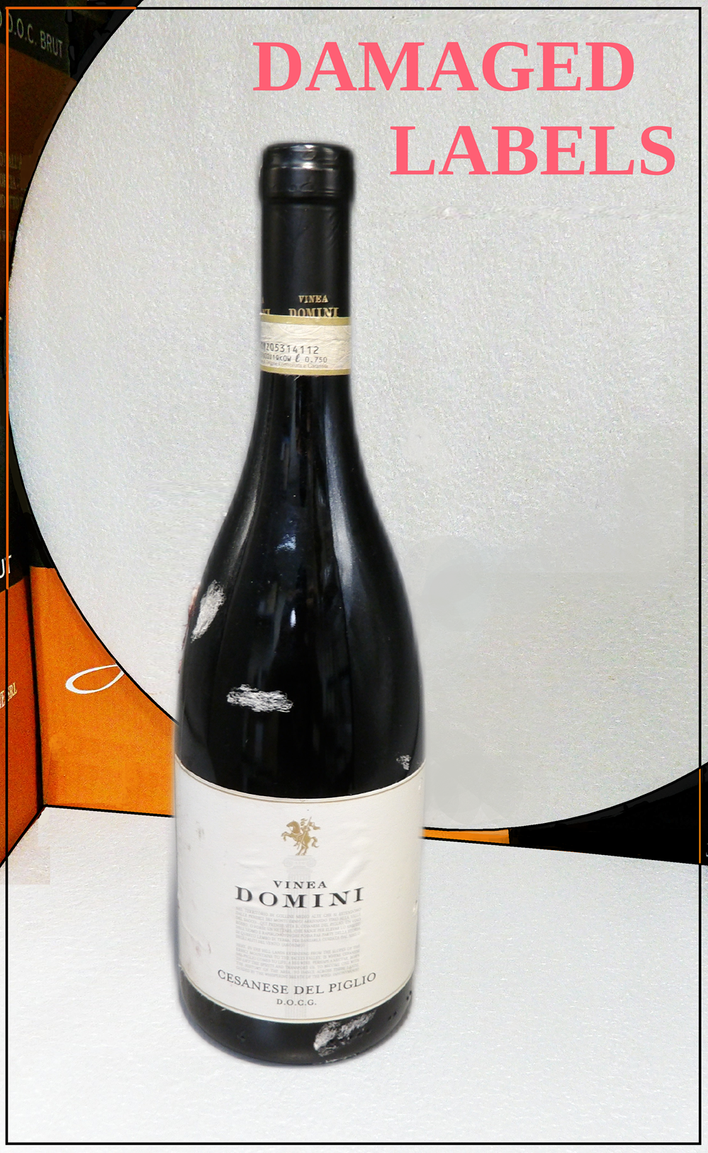 Damaged Labels Ceasanese del Piglio, 2023 Vinea Domini by Gotto d'oro