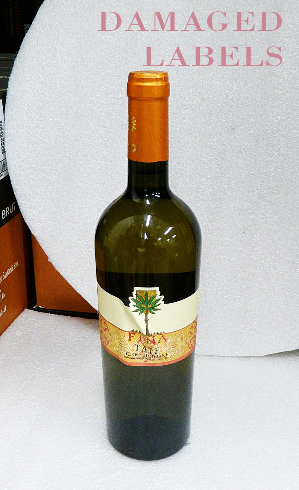 Damaged Labels Zibibbo, 2024, Taif by Fina in Western Sicily