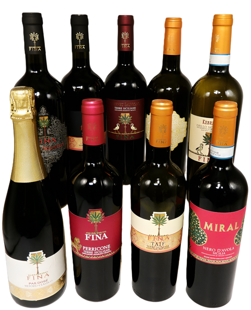 Fina Tour Case (12)