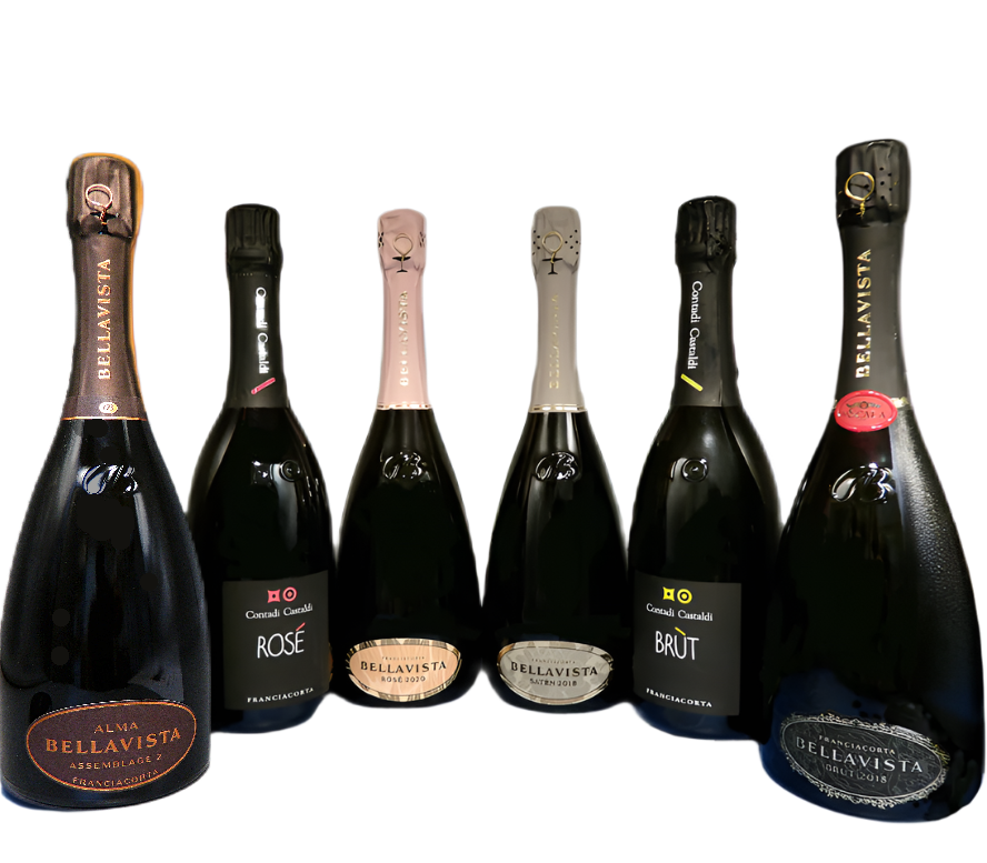 Franciacorta Six Sparkling Wines Bundled