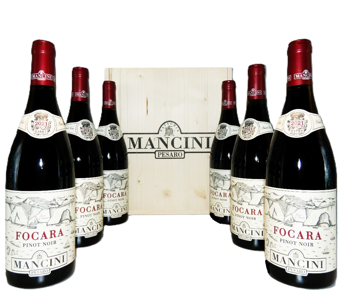 Mancini 6 Bottles of Focara Pinot Noir in a Wooden Box