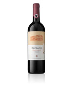 Chianti Classico Gran Selezione, Panzano, 2019 by Castelli del Grevepesa, - Wines From Italy