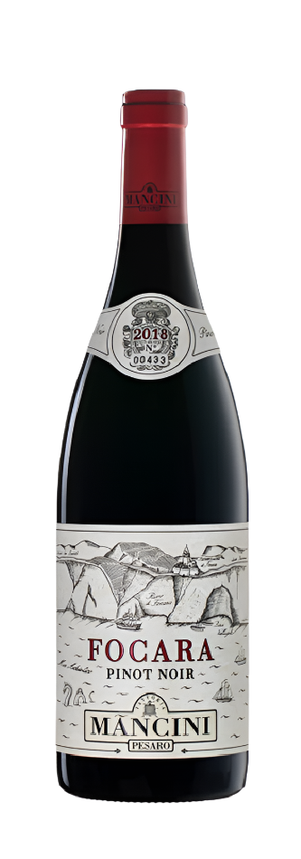 Pinot Noir Focara 2020 DOC, By Mancini in Le Marche