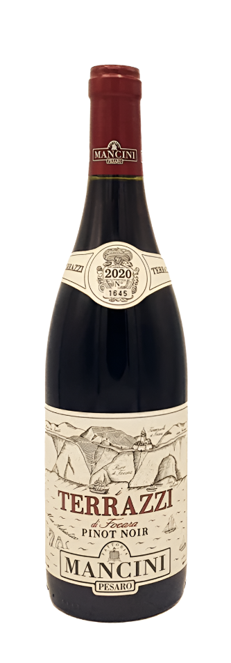 Pinot Noir Terrazzi 2020 DOC, By Mancini in Le Marche