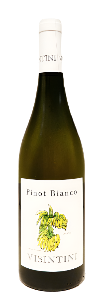 Pinot Bianco 2022, by Visintini Winery in Colli Orientale Friuli, Due Bicchieri gambero Rosso