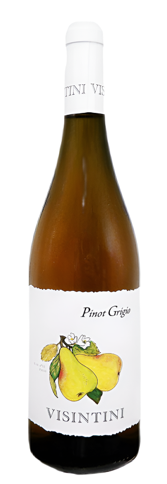Pinot Grigio, 2023 by Visintini Winery in Friuli Colli Orientiale