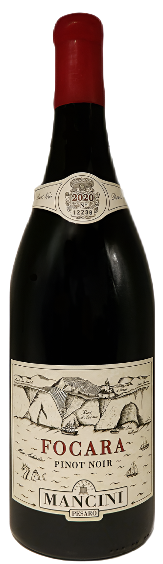 Pinot Noir Focara 2020 DOC, Magnum, Mancini By Mancini in Le Marche