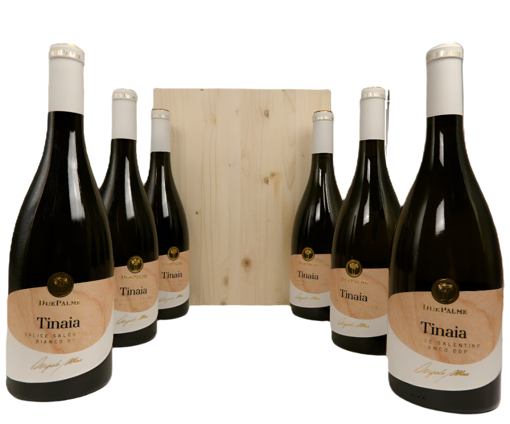 Salice Salento Bianco, 2023 Tinaia 6 in Wooden Box