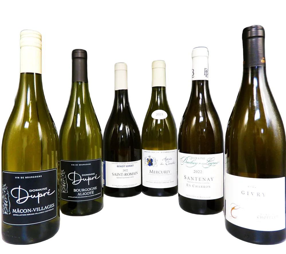 Six White Wines Bundle