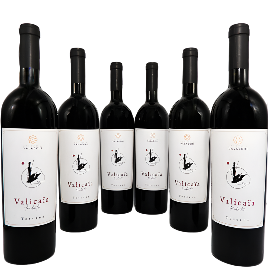 Six Bottles of  2018 a Super Tuscan   By Fattoria Valacchi, 93 Pts JS