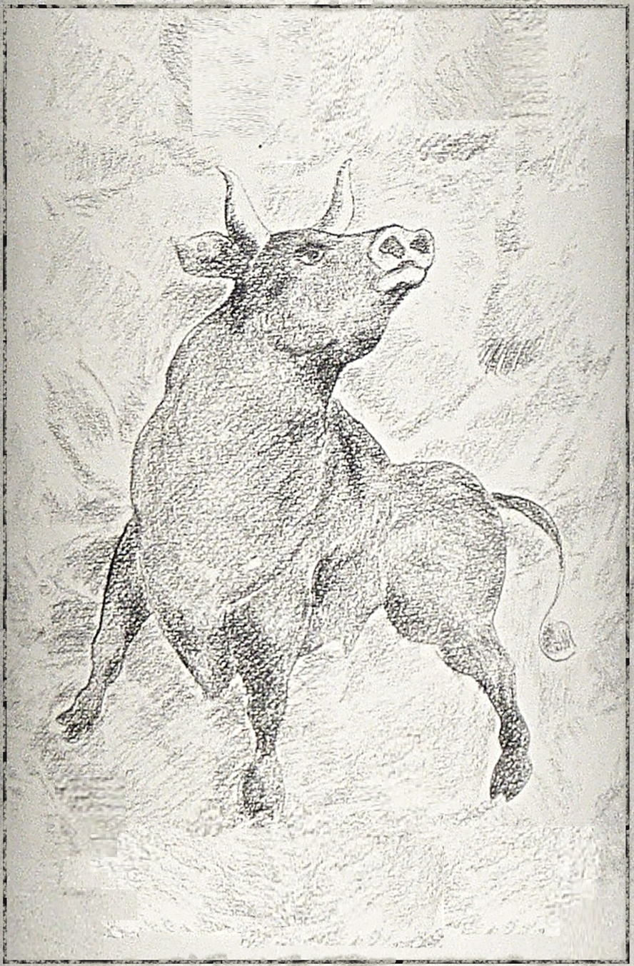Romitorio Art Super Tuscan Bull in Charcoal 