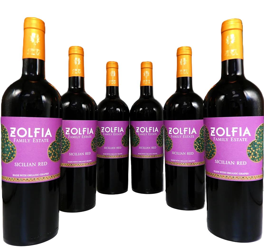 Syrah Terre Sicilian 2024, Six Pack by Fina Winery in Sicily