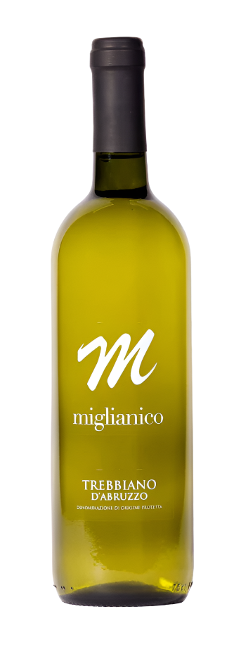 Trebbiano d'Abruzzo DOP 2020 BY Miglianico