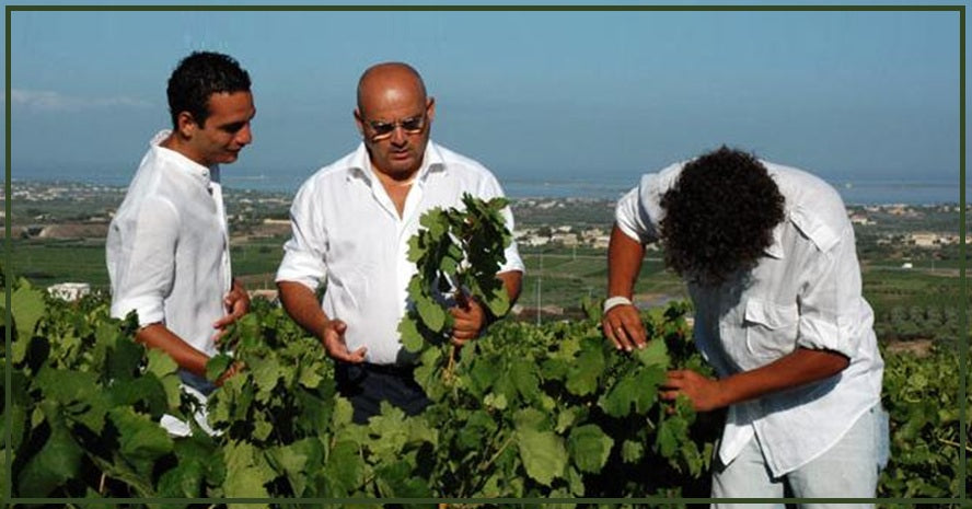Fina Family grape pic