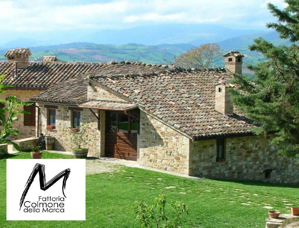  Fattoria Valacchi 