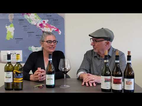 Dolcetto d'Alba 2022 by Punset in Piedmont