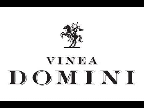 
                      
                        Load and play video in Gallery viewer, Roma Rosso, 2020 by Vinea Domini Gotto d&amp;#39;oro, Due Bicchieri Gambero Rosso
                      
                    