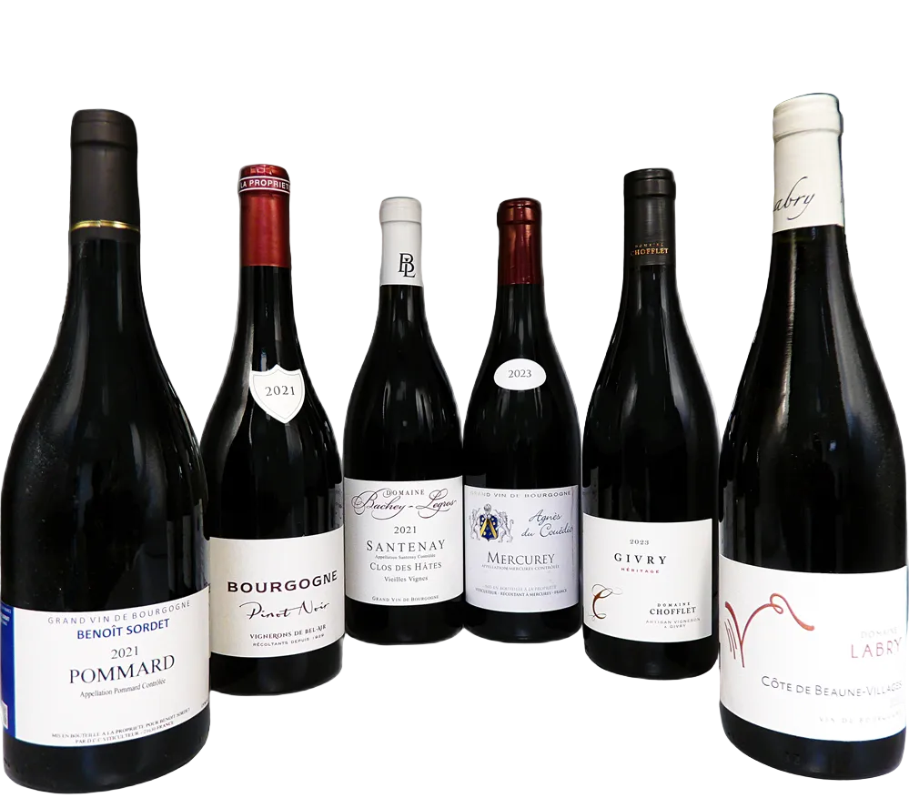 Six Red Wine Bundle